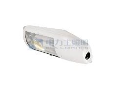 電力士供應(yīng)高光效、無頻閃、損耗低、恒功率路燈無極燈-- 無極燈廠家—廣東電力士科技照明有限公司