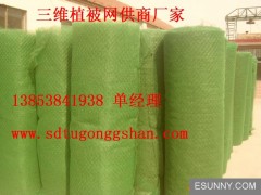 日照三維植被網廠家直銷甘肅三維植被網13853841938-- 山東永潤玻纖格柵有限公司
