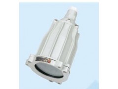 工業(yè)照明燈具ABSg-100(60)隔爆型視孔燈-- 浙江省騰達(dá)防爆電氣有限公司