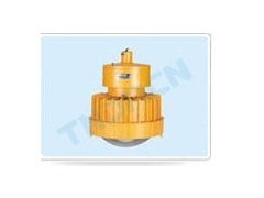BEW防爆無極燈適用場所  BEW-CX-- 浙江省騰達(dá)防爆電氣有限公司