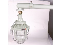 BCM-CCD騰達(dá)BCM防爆馬路燈-- 浙江省騰達(dá)防爆電氣有限公司