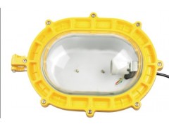 防腐等級：WF1  BTD97防爆投光燈騰達(dá)防爆 防護(hù)等級-- 浙江省騰達(dá)防爆電氣有限公司
