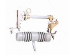 供應(yīng)PD-12/100A出口型跌落式熔斷器找誠信廠家【軒泰電氣】-- 樂清軒泰電氣科技有限公司