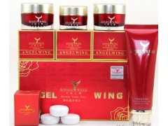 天使之翼夢(mèng)紀(jì)套裝，小盒裝天使之翼4件套，全國貨到付款-- 廣西南寧市護(hù)膚精品化妝品公司銷售部