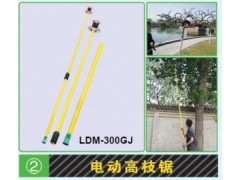 電動高枝鋸多少錢？石家莊莊綠華機械科技價格低質(zhì)量好-- 石家莊綠華機械科技有限公司