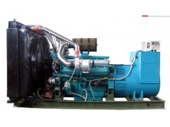 領(lǐng)馭牌通柴柴油發(fā)電機(jī)組-- 江蘇領(lǐng)馭電機(jī)有限公司