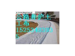 德州哪里有做公路養(yǎng)護(hù)布,價(jià)格多少?-- 陵縣華龍化纖有限公司