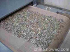 微波白瓜子烘干殺菌機(jī)-- 廣州科威微波能有限公司