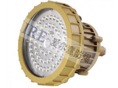LED三防燈BRE8620-- 樂清市愛爾意防爆電器有限公司