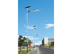 新農村建設專用LED太陽能路燈 節(jié)能戶外LED太陽能路燈-- 福建萬春光電科技有限公司
