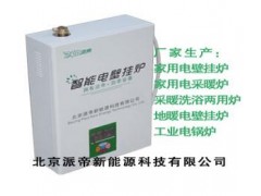 北京家用電加熱采暖爐-- 北京派帝新能源科技有限公司