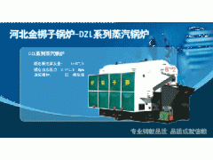 DZl系列蒸汽鍋爐-- 河北金梆子鍋爐有限公司