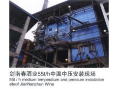 水冷漩渦分離內循環流化床鍋爐-- 鄭州鍋爐股份有限公司