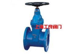 Z45T/W  暗桿鑄鐵閘閥-- 上海工良閥門(mén)廠