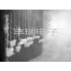 電廠鍋爐結焦檢測系統