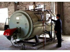 環保鍋爐改氣設備-- 天津悅品新能源科技有限公司
