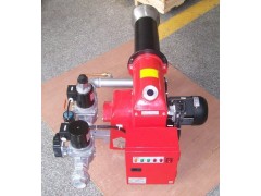TG系列中小型雙段（全自動大/小火控制）燃氣燃燒（機）器-- 鄭州中威環(huán)保設(shè)備有限公司