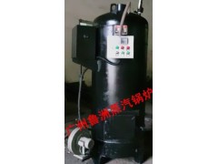 燃柴蒸汽鍋爐-- 廣州市魯洲機(jī)電設(shè)備有限公司