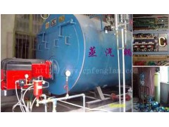 燃渣油蒸汽鍋爐-- 鄭州楓嵐鍋爐有限公司