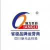 強力巨彩LED顯示屏P10