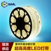 供應超美led軟燈條5050