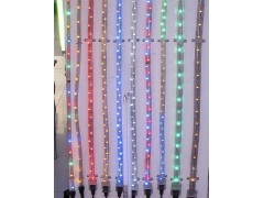 供應LED彩虹管 LED燈帶-- 中山建東照明有限公司