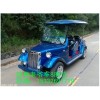 5座豪華電動巡邏車