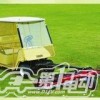 供應(yīng) 高爾夫撿球車 電動車(圖)