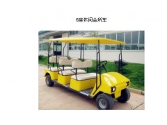 江西6座高爾夫球車-- 江西鴻翔電動(dòng)車輛有限公司