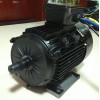 供應(yīng)110V5.5KW電動(dòng)船電機(jī)
