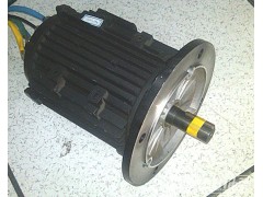供應(yīng)48V3.5KW電動平板車直流電機-- 常州永沛機電技術(shù)有限公司