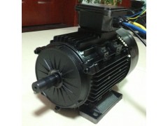 直流無刷、牽引電機-- 常州永沛機電技術有限公司
