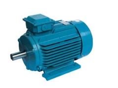 德驅(qū)馳永磁同步電機-- 上海德驅(qū)馳電氣有限公司