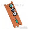 工業(yè)遙控器 臺灣禹鼎遙控器F21-2D 兩