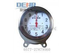 JS-8,JS-10/800,JSY-10放電計數器原裝現貨-- 樂清登瑞電氣有限公司