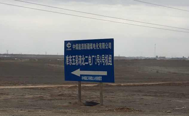 圖片8