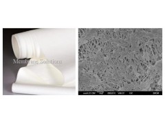 PTFE微濾膜-- 邁博瑞生物膜技術有限公司