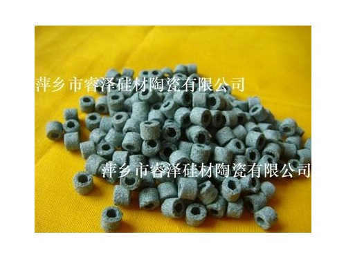 高純綠碳化硅載體 (1)