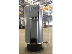 新款300kg燃氣鍋爐 環(huán)保鍋爐-- 浙江聚能鍋爐制造有限公司