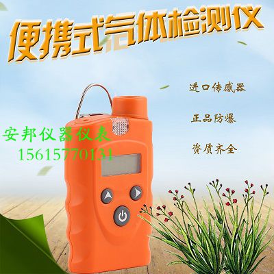 甲烷泄漏報警器-- 濟南安邦儀器儀表有限公司