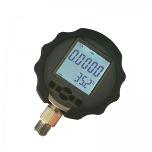 上海銘控MD-S210 高精度數字壓力表 