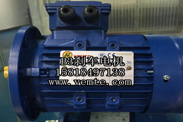 YEJ112MC2-5.5KW三相異步剎車馬達-- 永安銀河電力有限公司