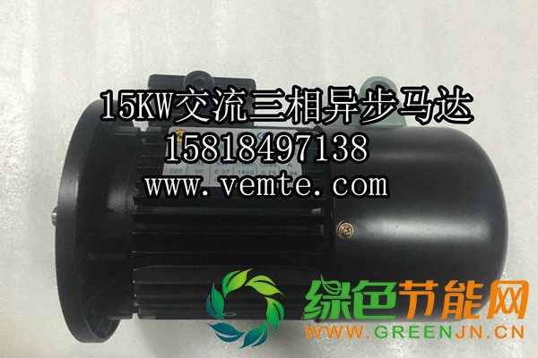 15KW交流三相異步馬達(dá)1