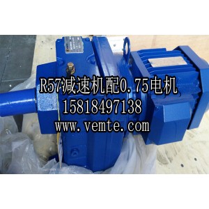 DSZRXFS57減速電機DSZRXFS57減速機價