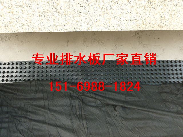 天津2.5公分蓄排水板北京\車(chē)庫(kù)種植蓄排水板-- 泰安市綠泰建材有限公司