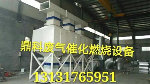 自動檢測燃燒溫度廢氣催化處理設備-- 泊頭市鼎科環保設備有限公司