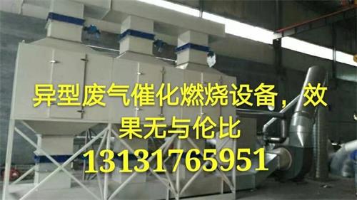 惡臭氣體消除必備廢氣催化燃燒設備-- 泊頭市鼎科環保設備有限公司