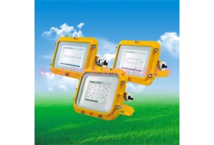 EFY8910-L6防爆節能多用途長壽燈