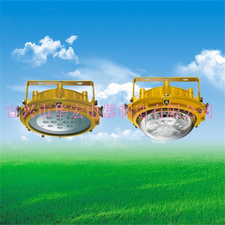 DGS30/127L（A）礦用隔爆型LED巷道燈