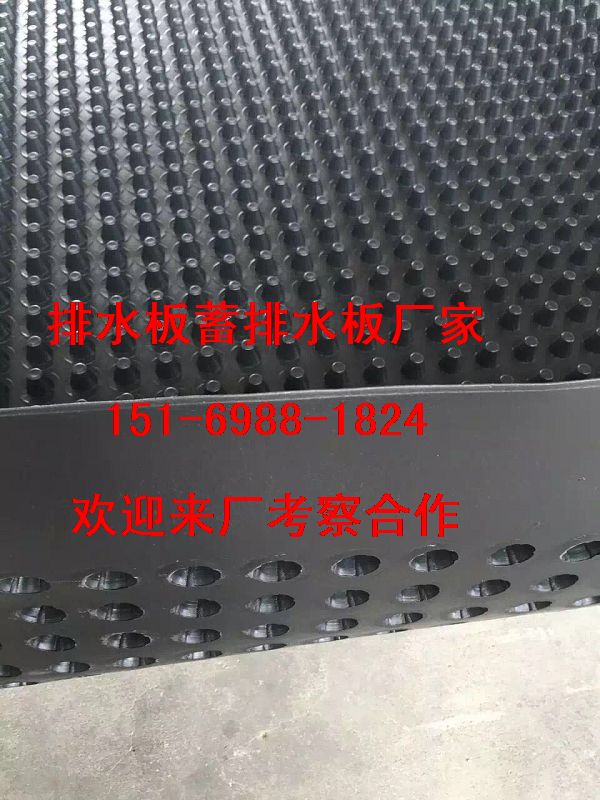 贛州地下室底板排水板＞撫州3公分蓄排水板多少錢(qián)一平方米?-- 泰安市澤瑞土工材料有限公司